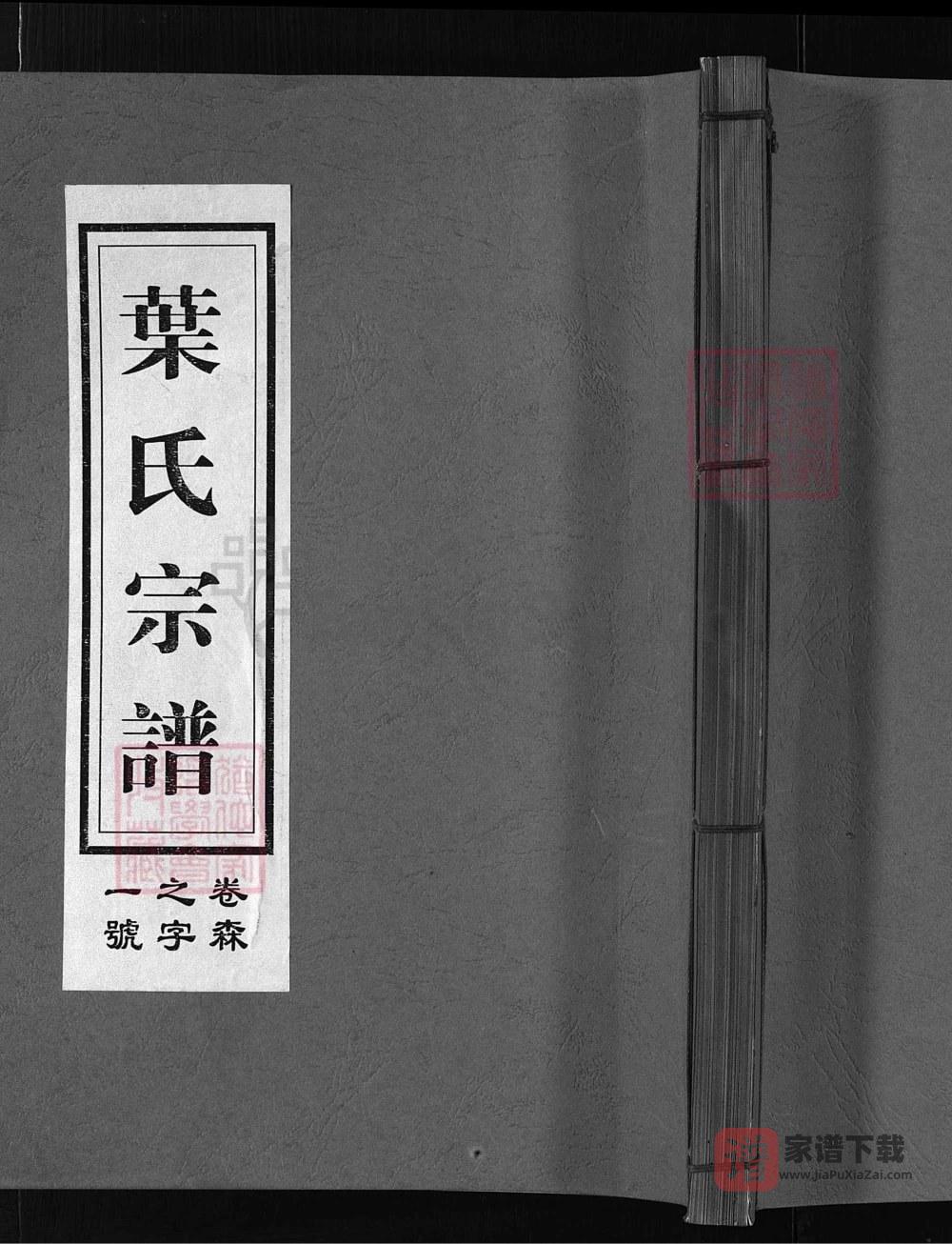 浙江兰溪南阳叶氏宗谱（如在堂）PDF高清电子版下载