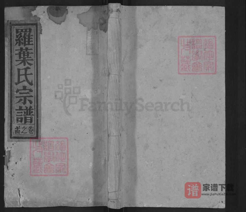 安徽安庆宿松罗叶氏宗谱PDF高清电子版下载