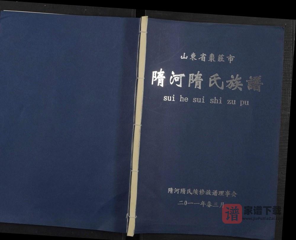山东枣庄隋河隋氏族谱PDF高清电子版下载