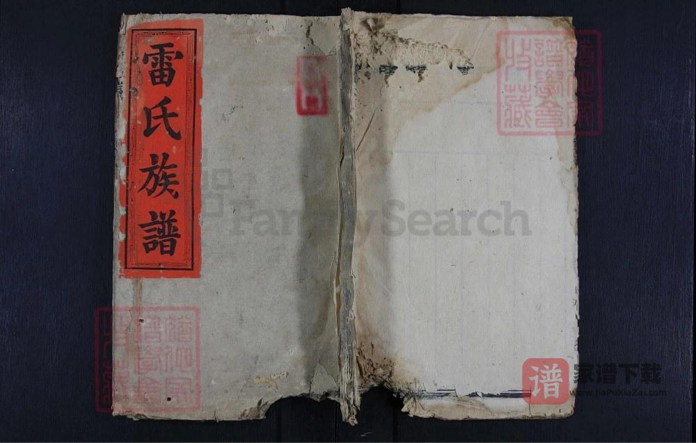 图片[1]-湖南永州雷氏族谱（敦睦堂）PDF高清电子版下载-家谱下载