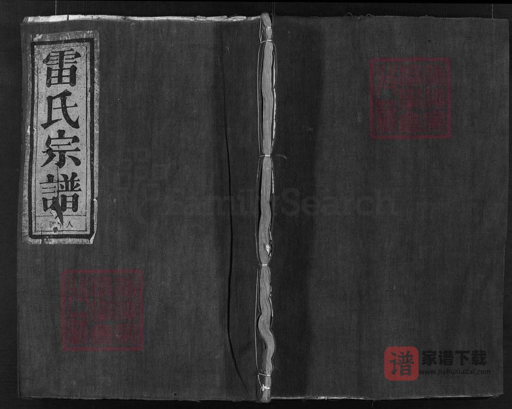 浙江兰溪雷氏宗谱（盛德堂）PDF高清电子版下载