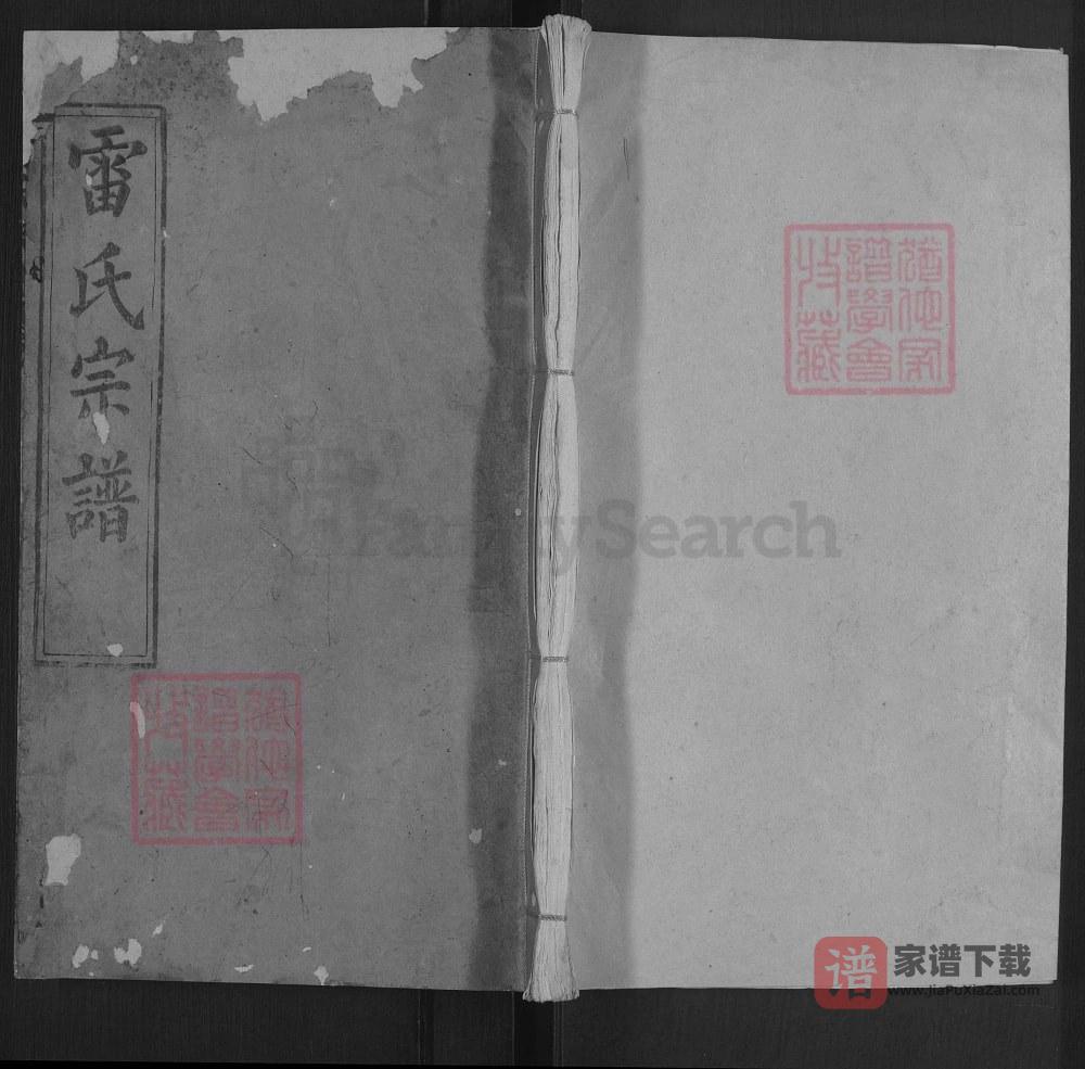 湖北罗田雷氏宗谱（继善堂）PDF高清电子版下载
