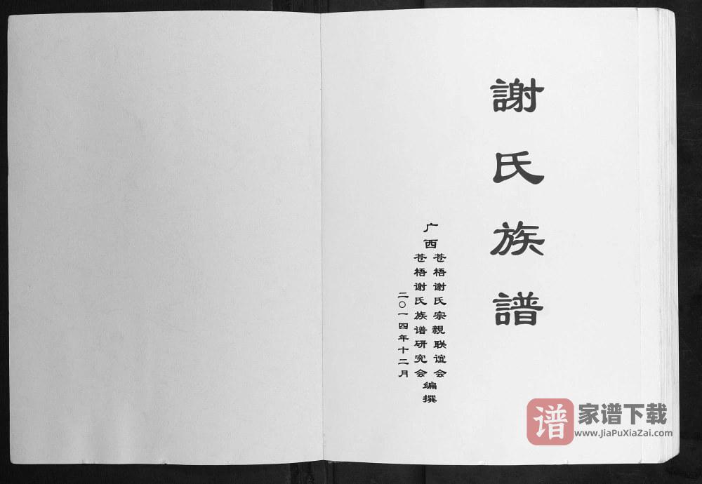 广西梧州苍梧县谢氏族谱PDF高清电子版下载