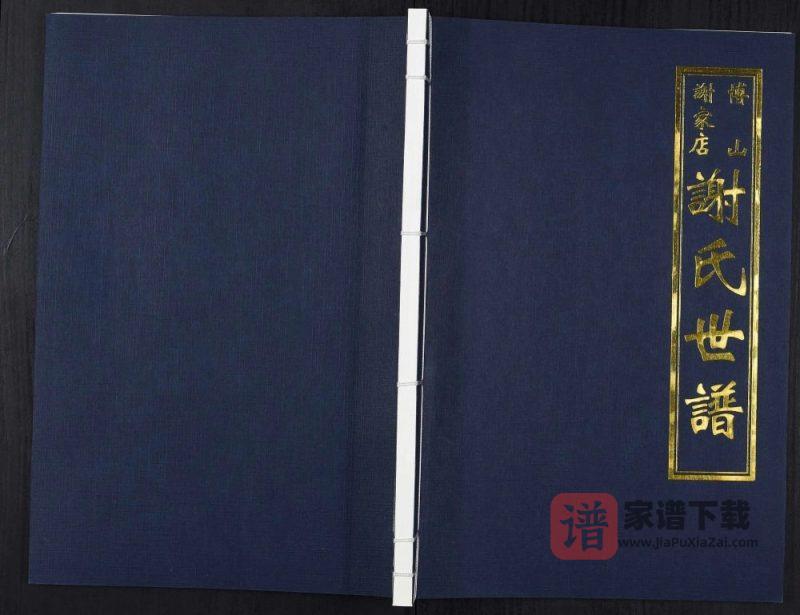 山东淄博桓台县谢氏世谱PDF高清电子版下载-家谱下载