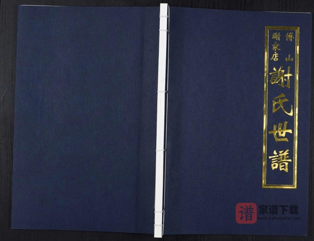 山东淄博桓台县谢氏世谱PDF高清电子版下载