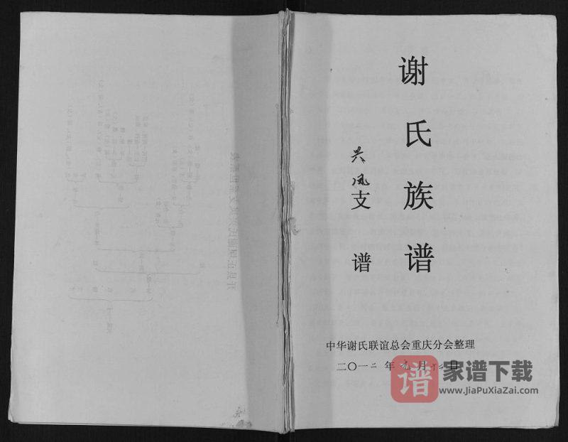 重庆开县谢氏族谱PDF高清电子版下载-家谱下载