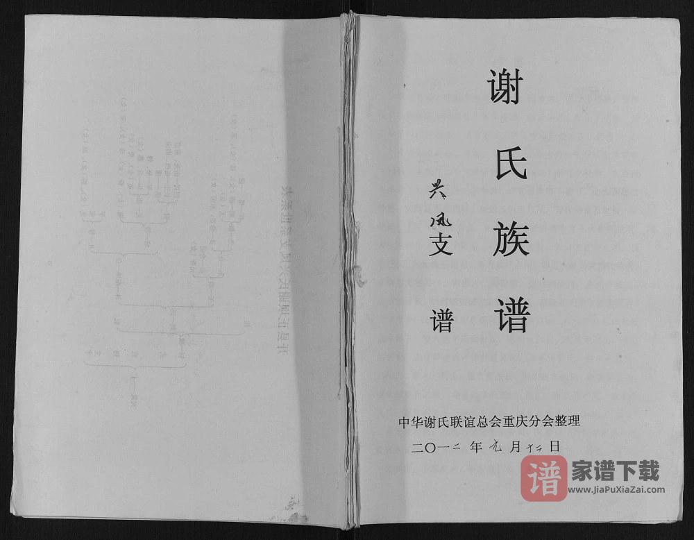 重庆开县谢氏族谱PDF高清电子版下载