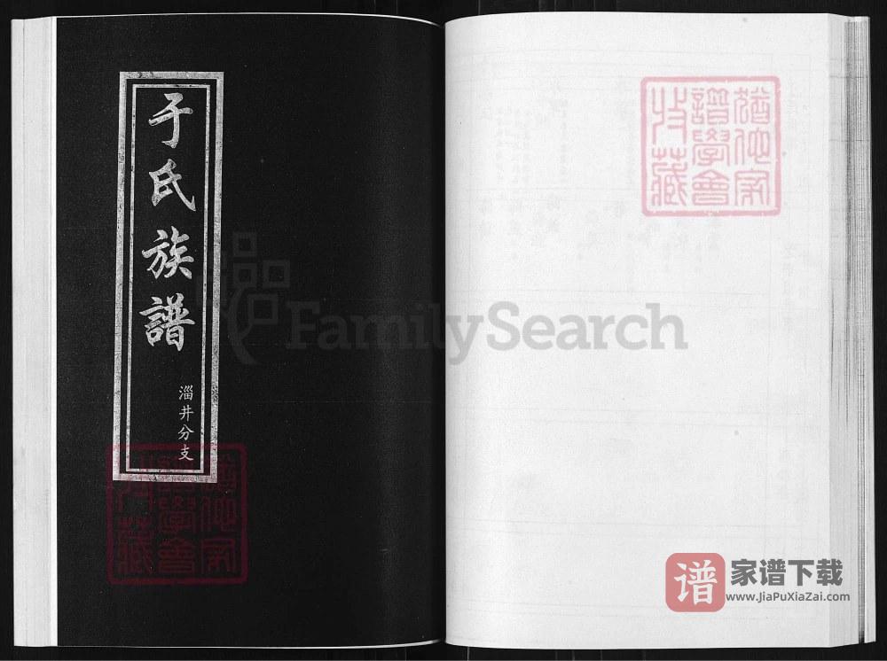 山东淄博于氏族谱淄井分支PDF高清电子版下载