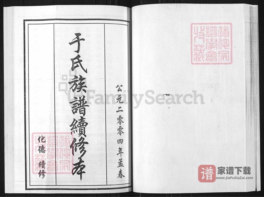 图片[2]-山东淄博于氏族谱淄井分支PDF高清电子版下载-家谱下载