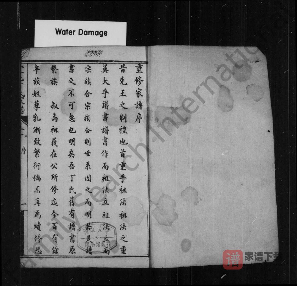 图片[2]-安徽亳州蒙城县蒙邑丁氏家谱（民国9年本）PDF高清电子版下载-家谱下载