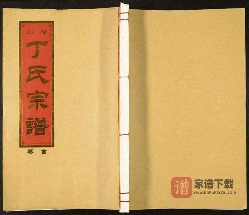 安徽合肥庐江县潜川丁氏宗谱（万卷堂）PDF高清电子版下载-家谱下载