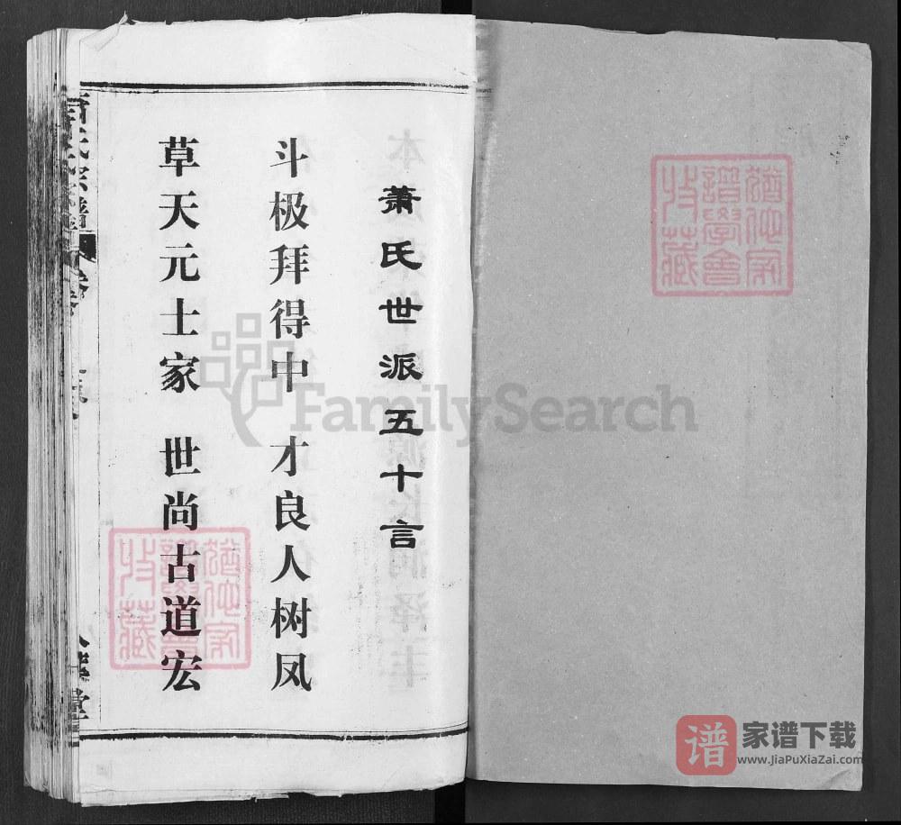 图片[2]-湖北武汉黄陂区萧(肖)氏宗谱（八叶堂）PDF高清电子版下载-家谱下载