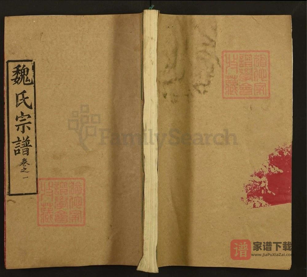 湖北武汉新洲区魏氏宗谱（大名堂）PDF高清电子版下载