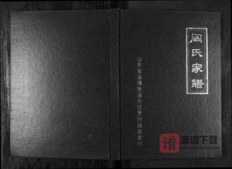 山东淄博阎氏家谱PDF高清电子版下载-家谱下载