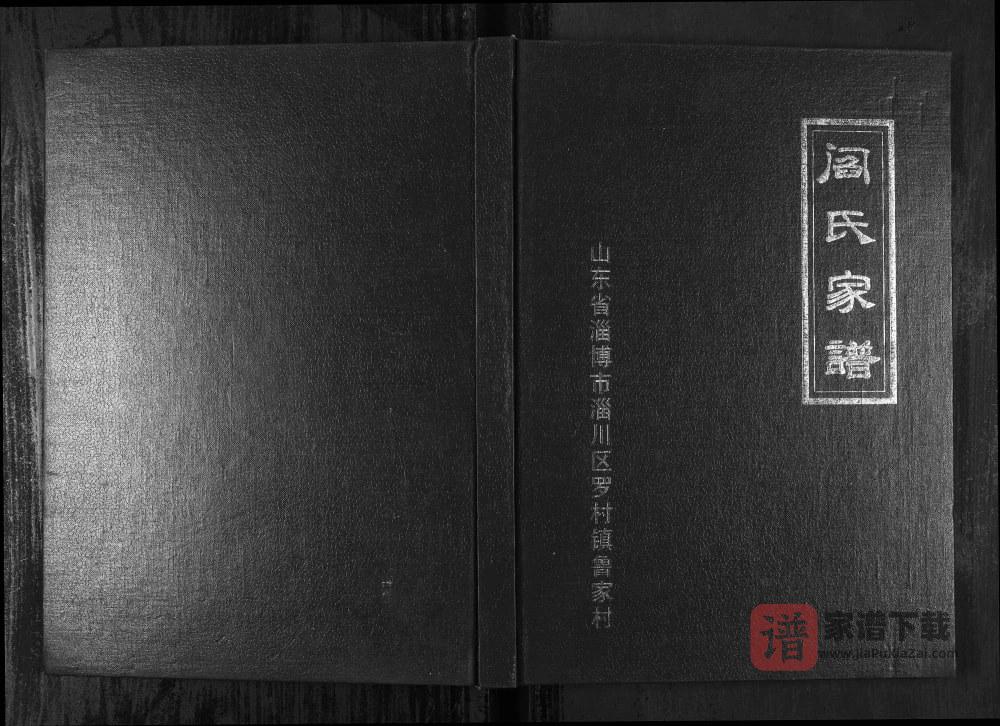 山东淄博阎氏家谱PDF高清电子版下载