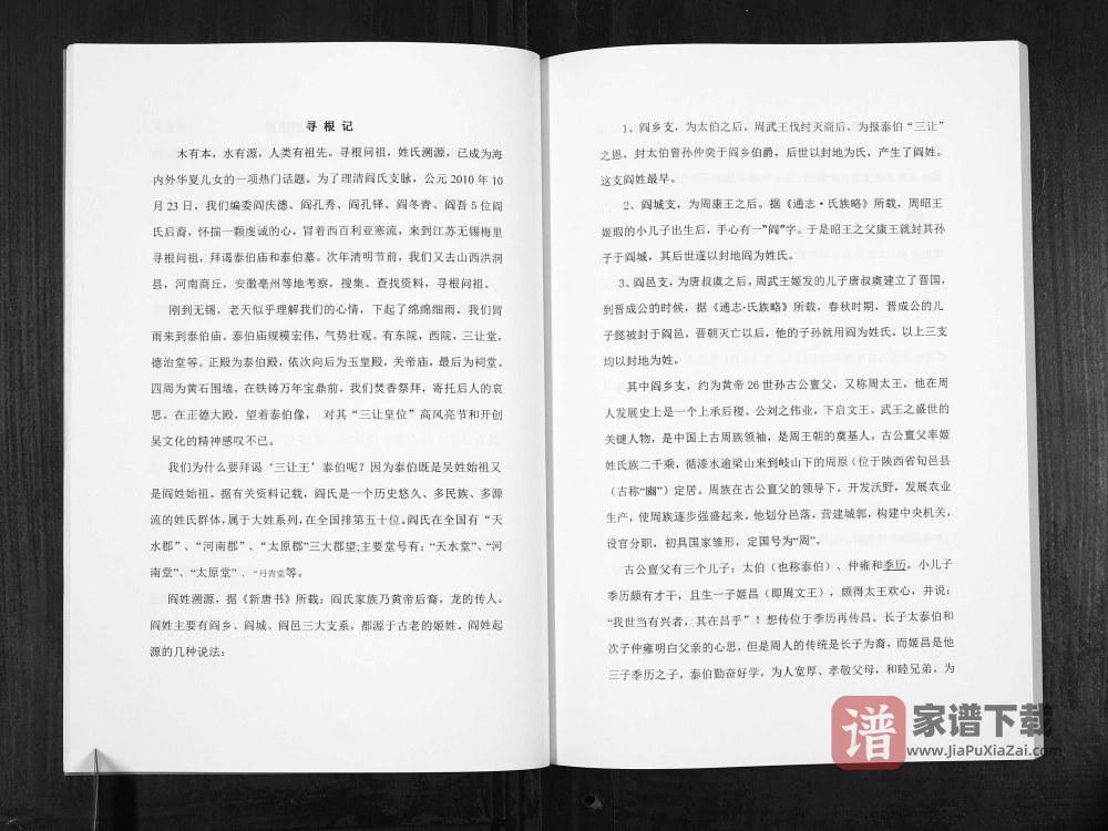 图片[2]-安徽亳州利辛县阎氏家谱PDF高清电子版下载-家谱下载