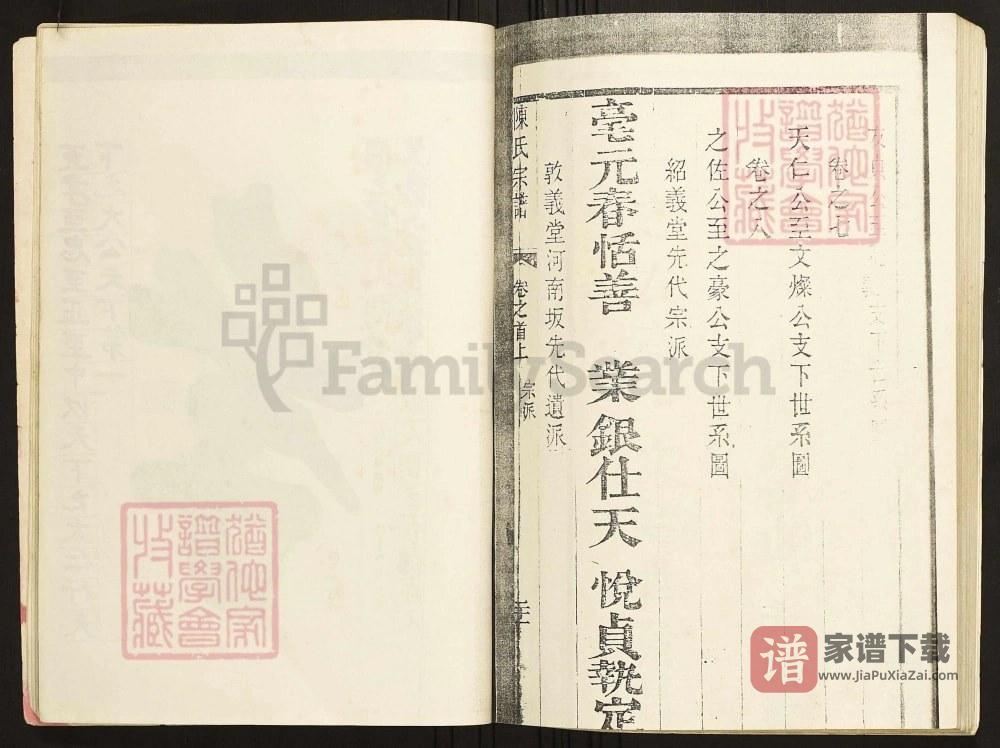 图片[2]-陕西洛南陈氏宗谱龙游庄迁陕支谱（绍义堂）PDF高清电子版下载-家谱下载