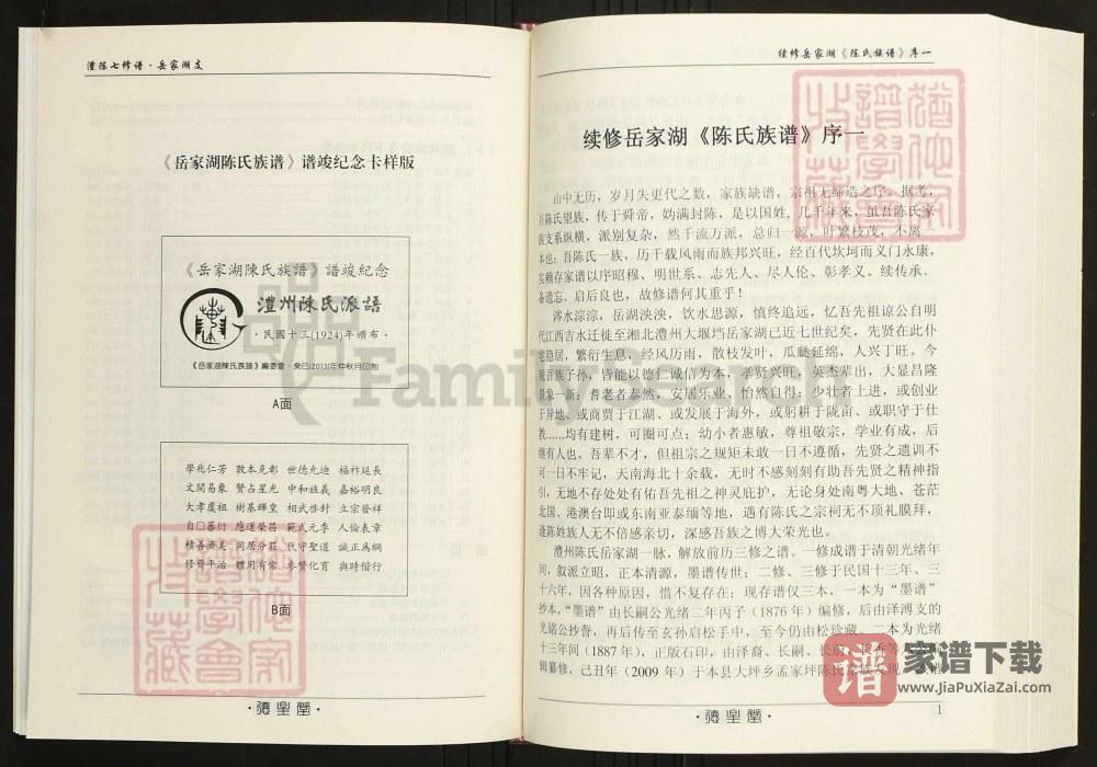 图片[2]-湖南常德陈氏族谱岳家湖支PDF高清电子版下载-家谱下载