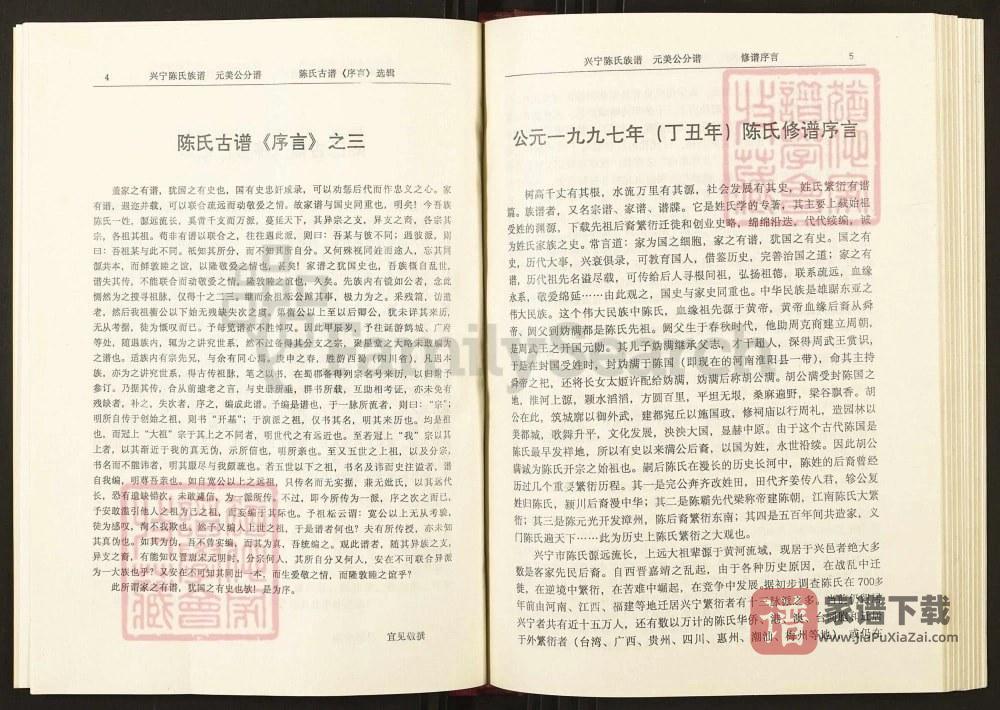 图片[2]-广东兴宁陈氏族谱元美公分谱PDF高清电子版下载-家谱下载