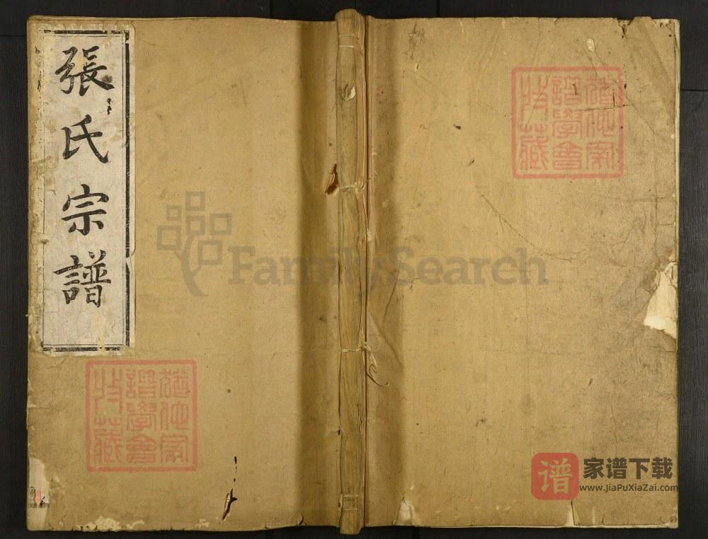 浙江嵊州剡西玨芝张氏宗谱PDF高清电子版下载