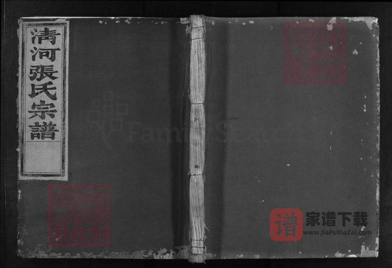 浙江金华清溪张氏家谱（存善堂）PDF高清电子版下载-家谱下载