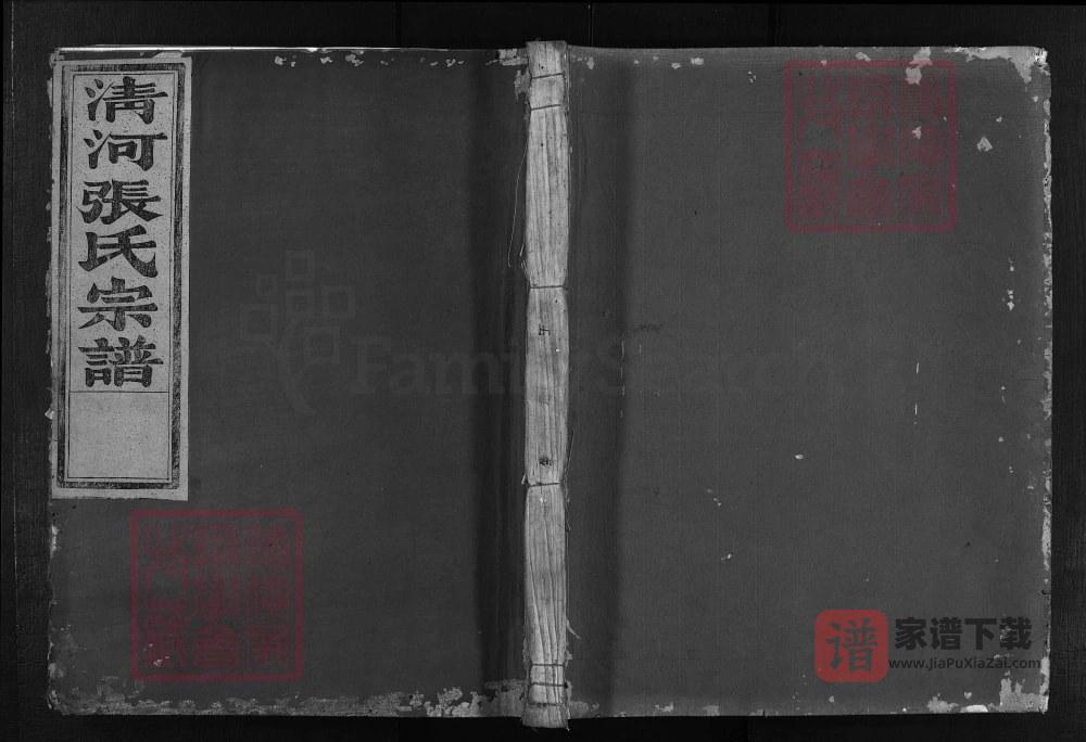 浙江金华清溪张氏家谱（存善堂）PDF高清电子版下载