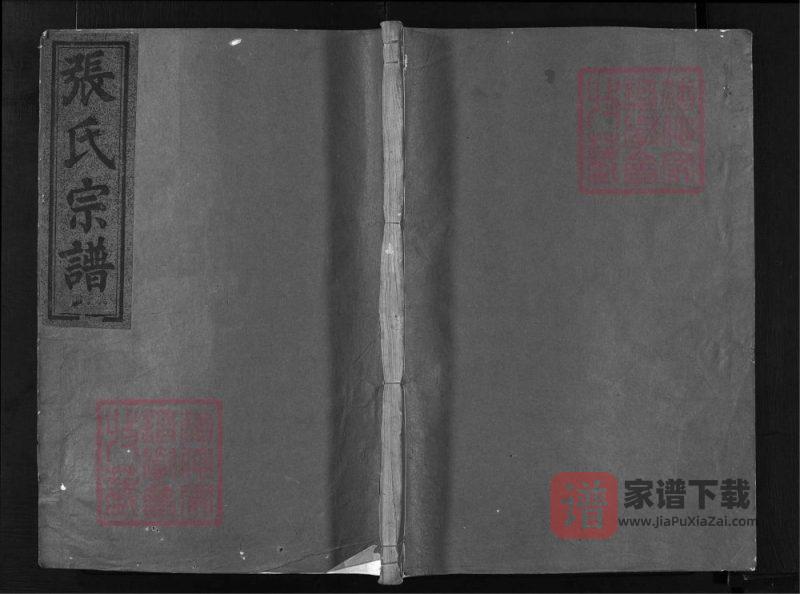 浙江兰溪清河张氏宗谱（孝友堂）PDF高清电子版下载-家谱下载