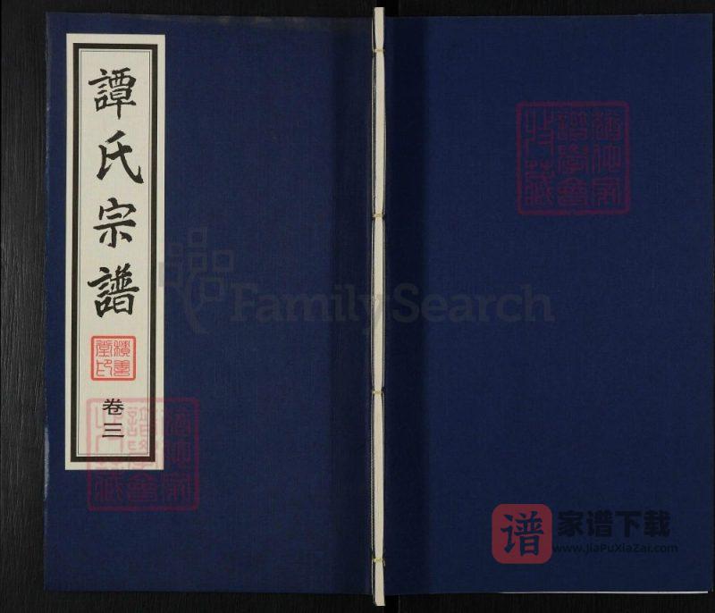 江苏江阴花山谭氏宗谱(积善堂)PDF高清电子版下载-家谱下载
