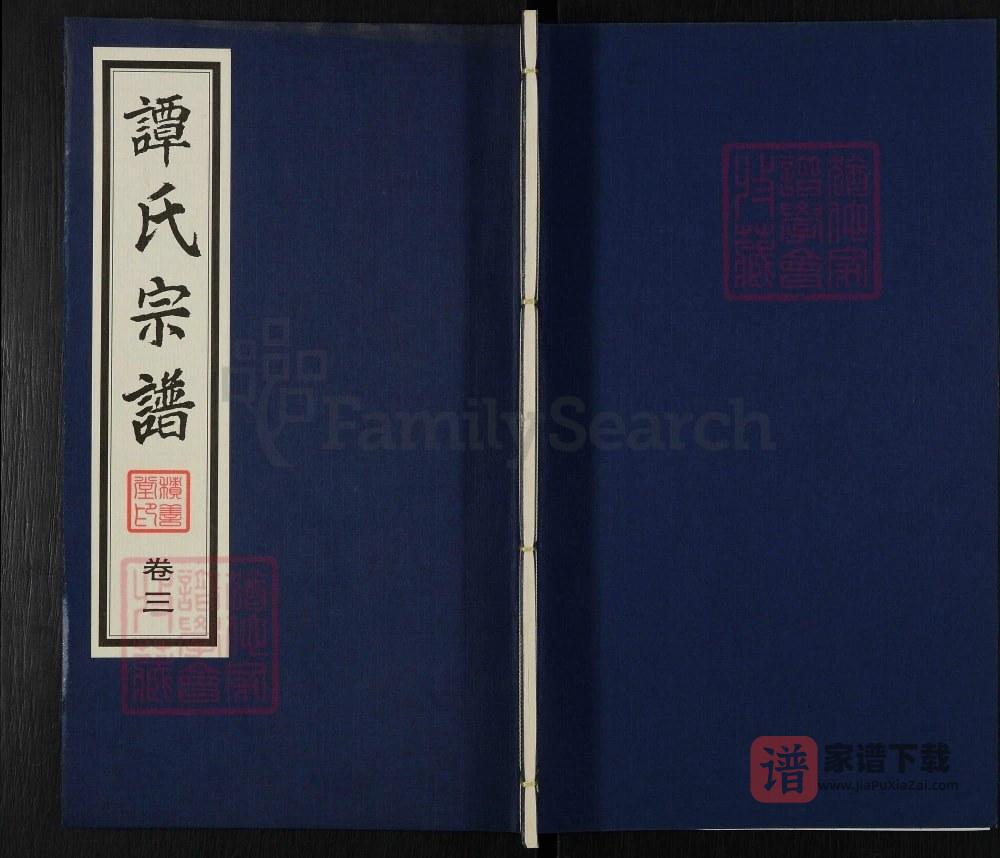 江苏江阴花山谭氏宗谱（积善堂）PDF高清电子版下载