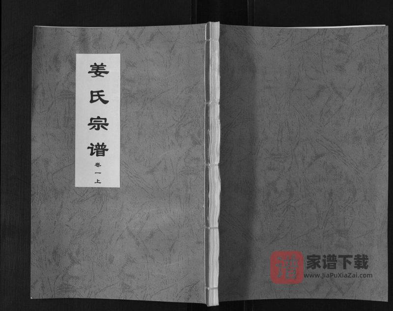 安徽合肥庐江县姜氏宗谱PDF高清电子版下载-家谱下载