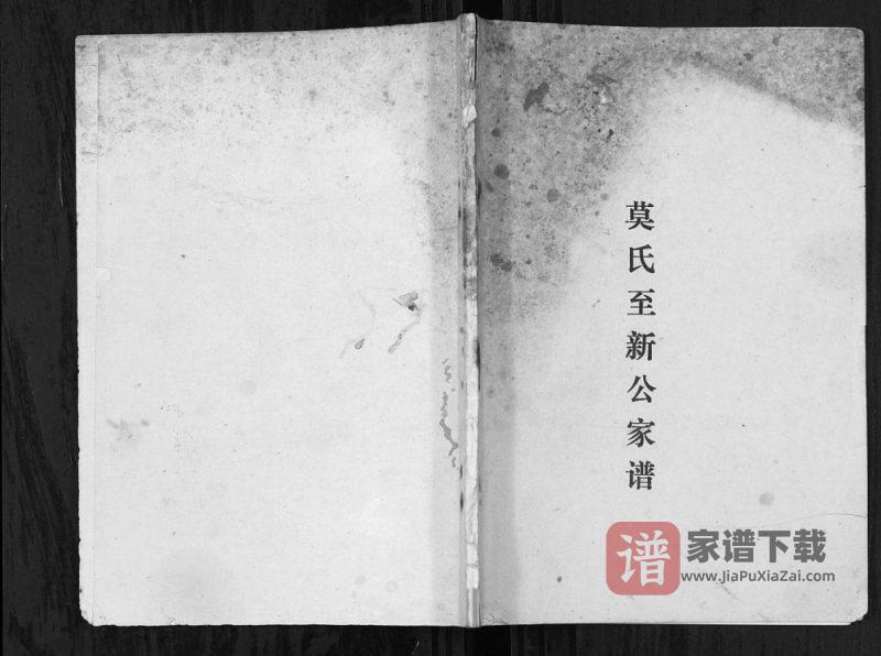 广西桂林阳朔莫氏至新公家谱PDF高清电子版下载-家谱下载