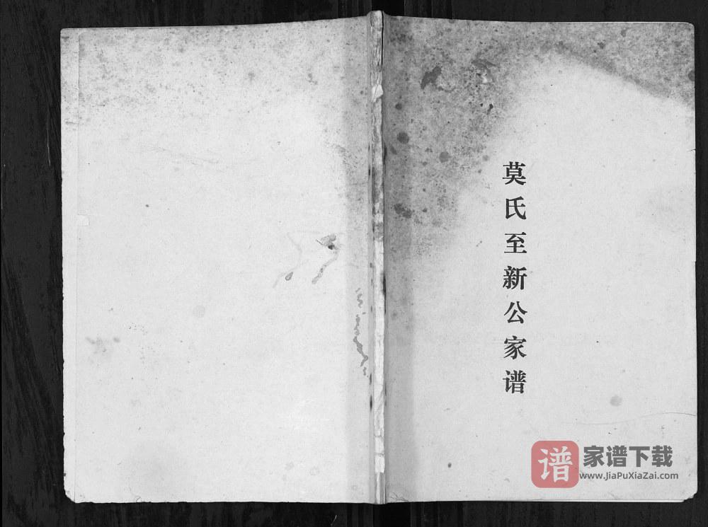 广西桂林阳朔莫氏至新公家谱PDF高清电子版下载