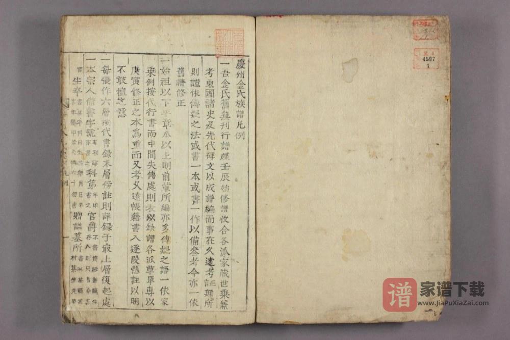 图片[2]-庆州金氏族谱PDF高清电子版下载-家谱下载