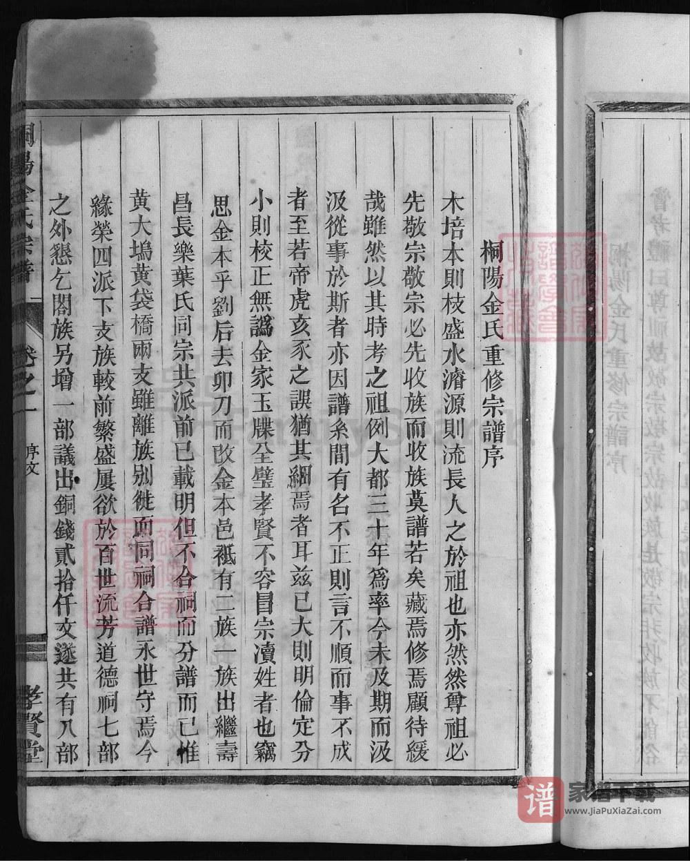 图片[2]-浙江兰溪桐阳金氏宗谱（孝贤堂）PDF高清电子版下载-家谱下载