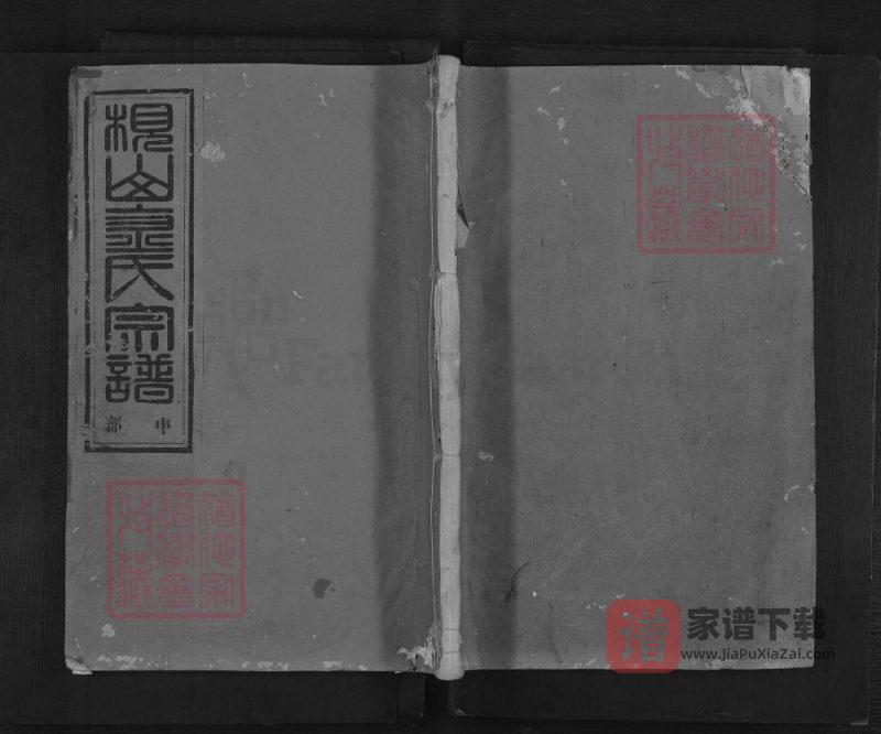 浙江金华枧山金氏宗谱PDF高清电子版下载-家谱下载
