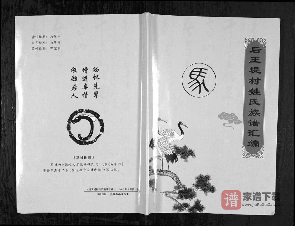山西临汾汾西县后王堤村姓氏族谱汇编PDF高清电子版下载