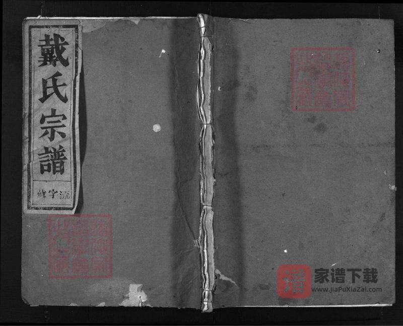 浙江兰溪戴氏宗谱(恒德堂)PDF高清电子版下载-家谱下载