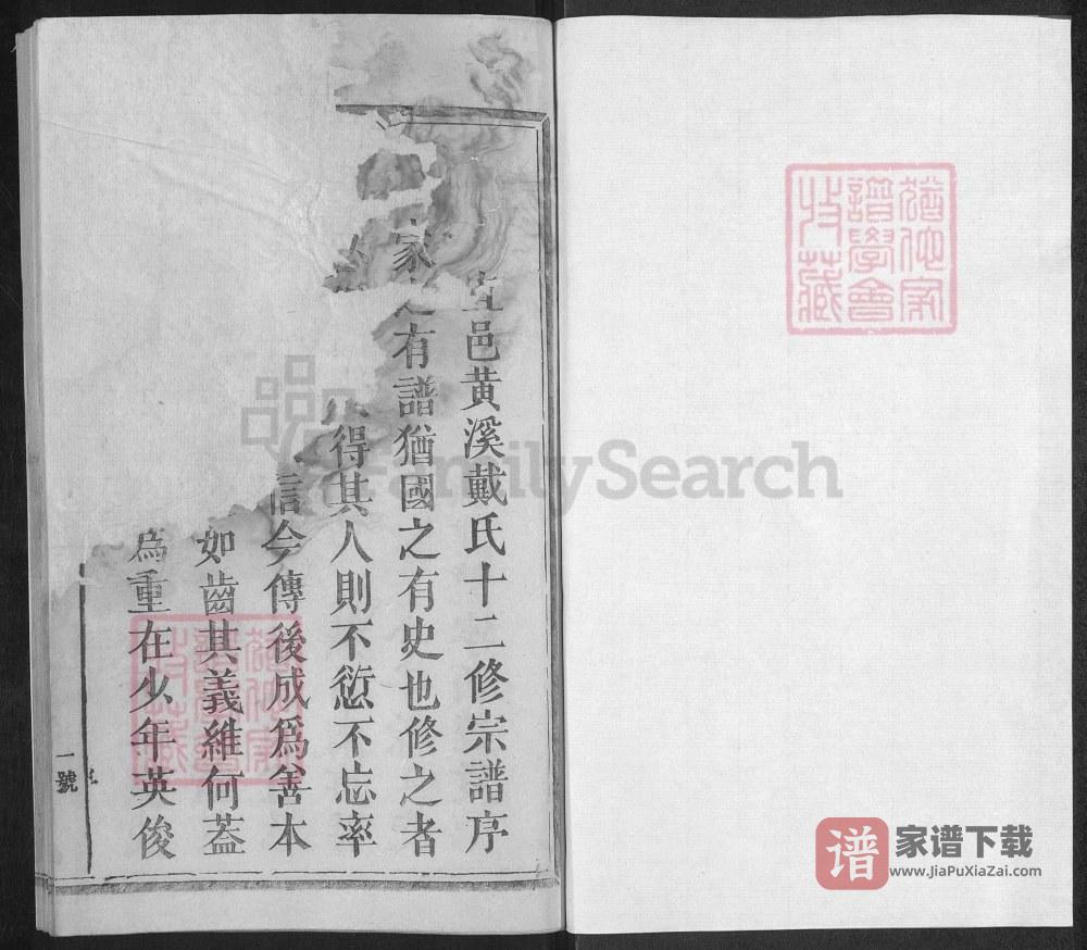 图片[2]-江西抚州宜黄抚宜黄溪戴氏十二修宗谱PDF高清电子版下载-家谱下载