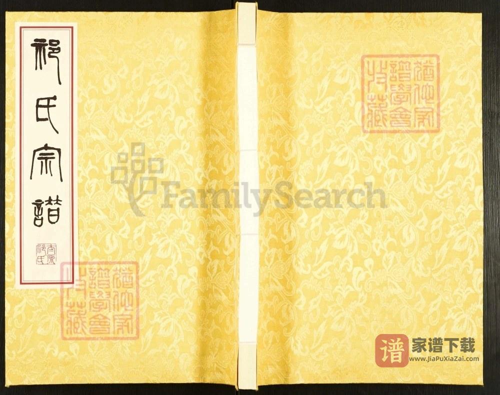 江苏盐城祁氏宗谱新兴支系谱（举贤堂）PDF高清电子版下载