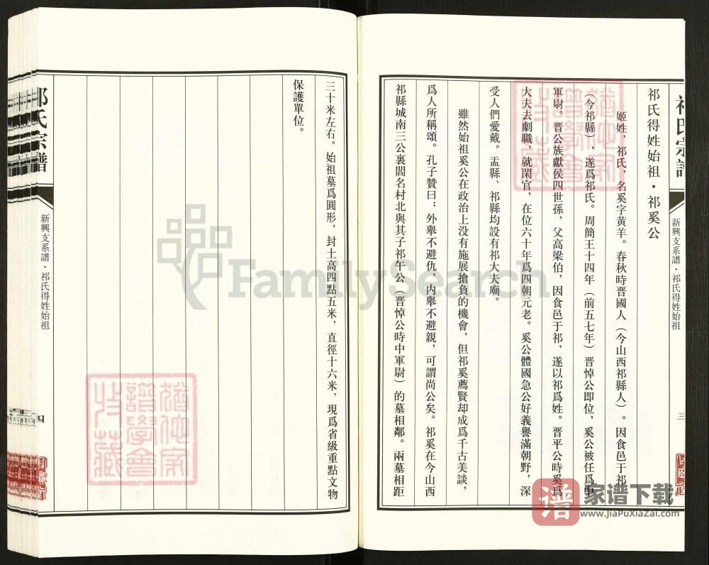 图片[2]-江苏盐城祁氏宗谱新兴支系谱（举贤堂）PDF高清电子版下载-家谱下载