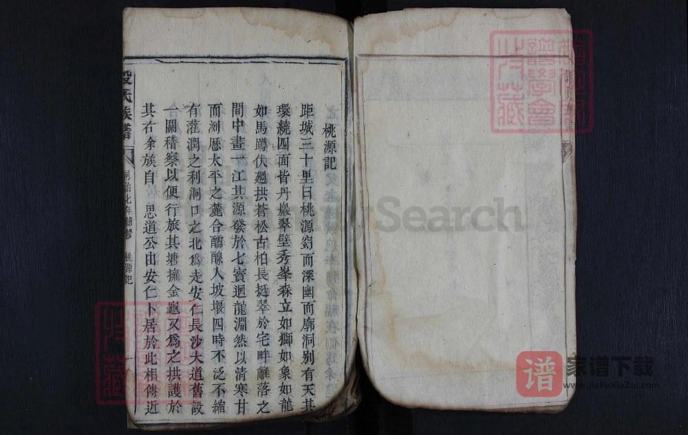图片[2]-湖南资兴段氏族谱PDF高清电子版下载-家谱下载