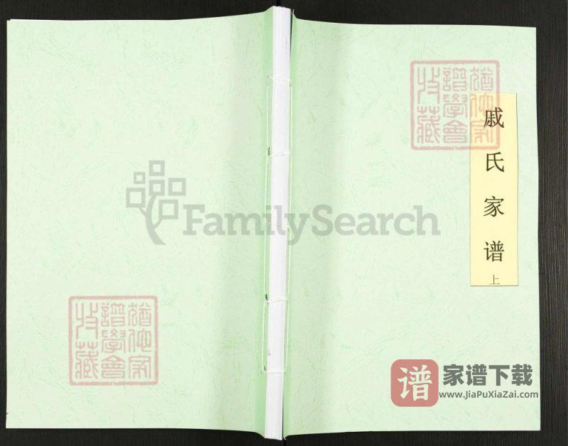 重庆忠县戚氏家谱PDF高清电子版下载-家谱下载