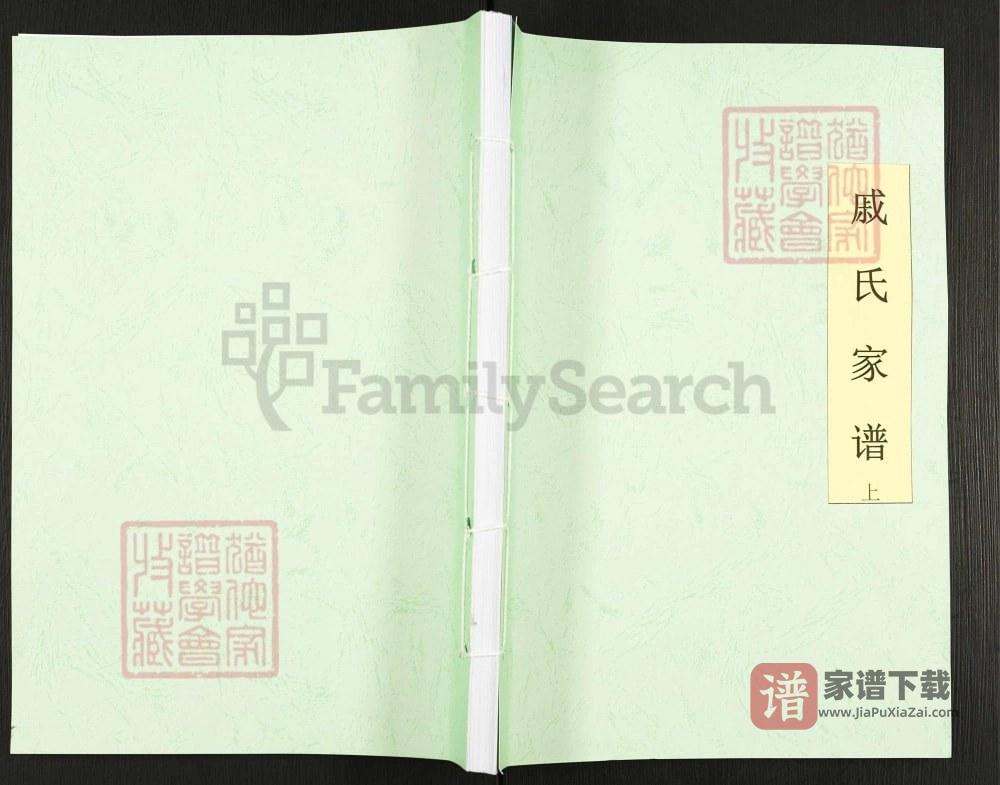 图片[1]-重庆忠县戚氏家谱PDF高清电子版下载-家谱下载