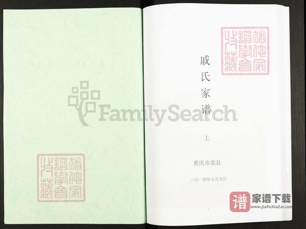 图片[2]-重庆忠县戚氏家谱PDF高清电子版下载-家谱下载