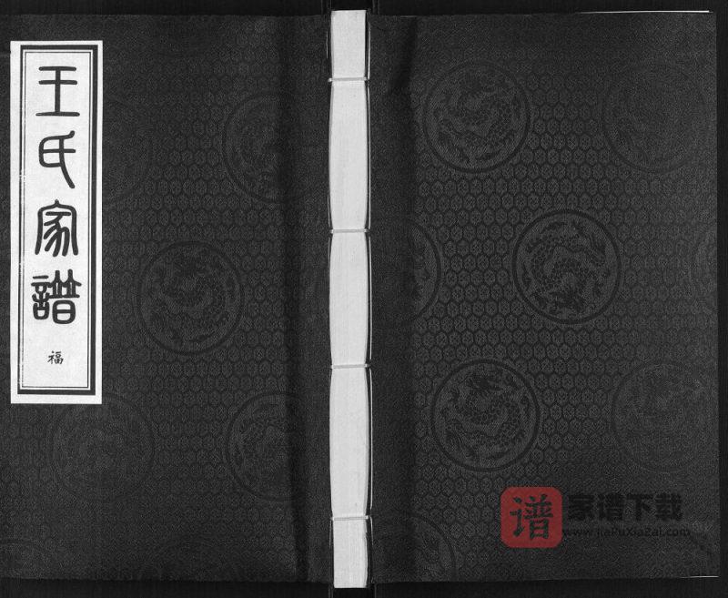 河北沧州东光县王氏家谱PDF高清电子版下载-家谱下载