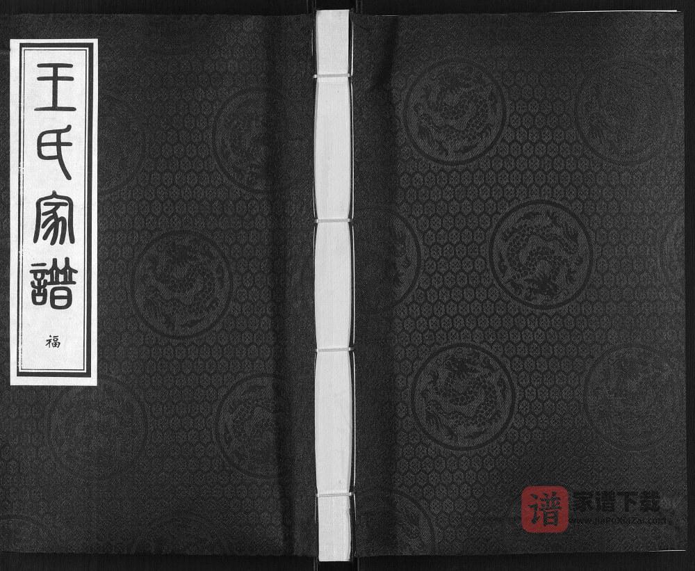 图片[1]-河北沧州东光县王氏家谱PDF高清电子版下载-家谱下载