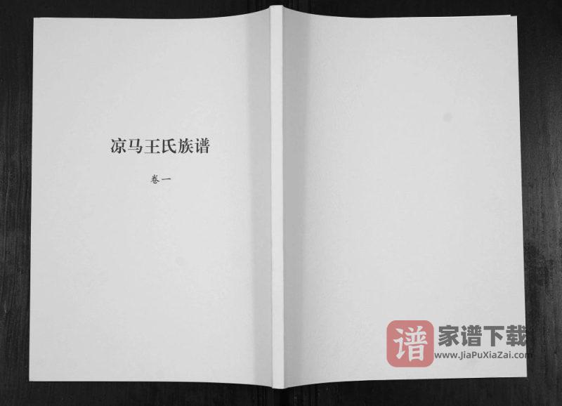 陕西咸阳礼泉县凉马王氏族谱PDF高清电子版下载-家谱下载