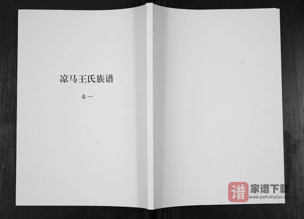 图片[1]-陕西咸阳礼泉县凉马王氏族谱PDF高清电子版下载-家谱下载
