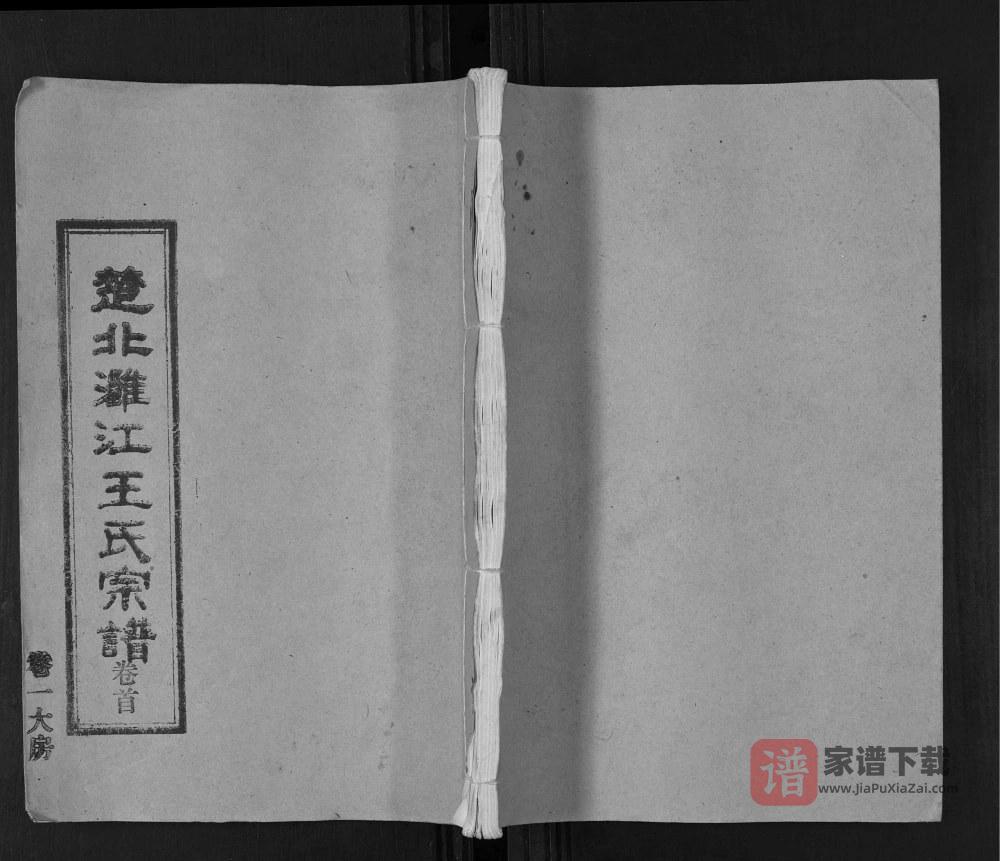 图片[1]-湖北汉川天门仙桃楚北灉江王氏宗谱（三槐堂）PDF高清电子版下载-家谱下载