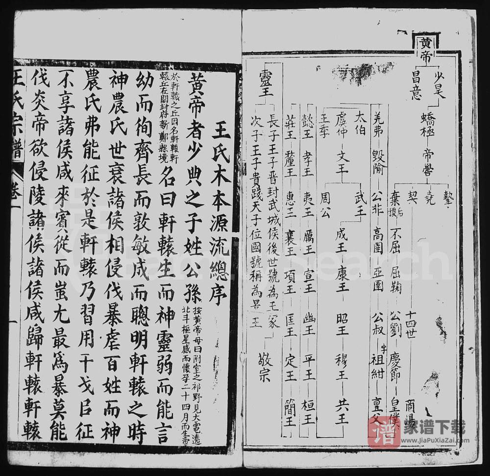 图片[2]-四川成都郫都区王氏宗谱（三槐堂）PDF高清电子版下载-家谱下载